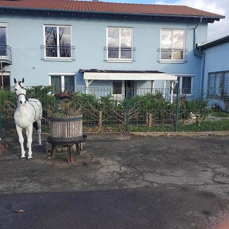 Grosse 3 Zi Wohnung Auf Der Pferde Farm Lahr  Eksteriør bilde